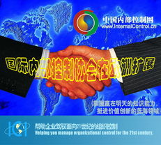 國際內控協會中國總部 企業內部控制咨詢、培訓與產品服務一體化解方案